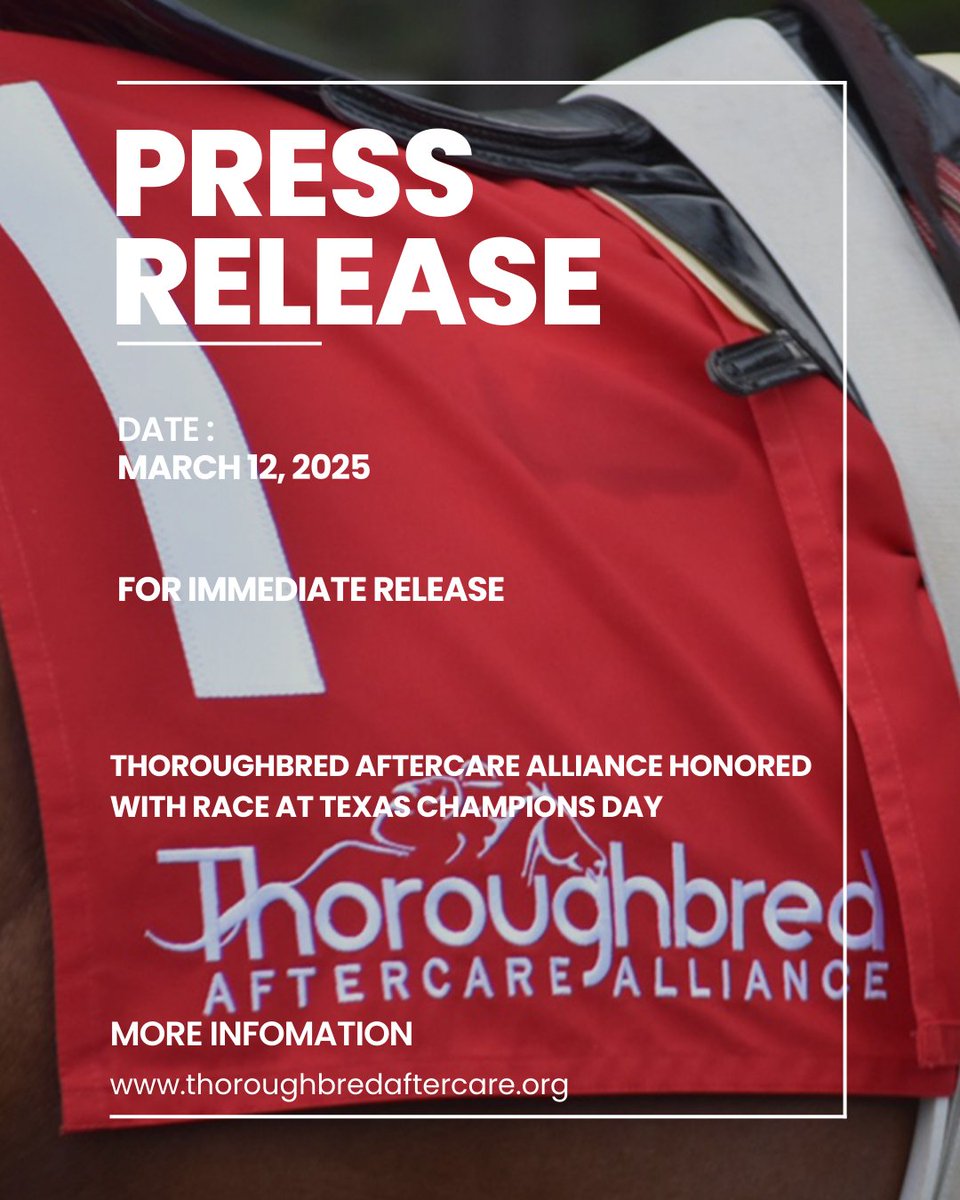 Thoroughbred Aftercare Alliance tweet media