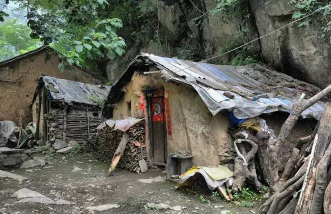 炽焱本相 tweet media