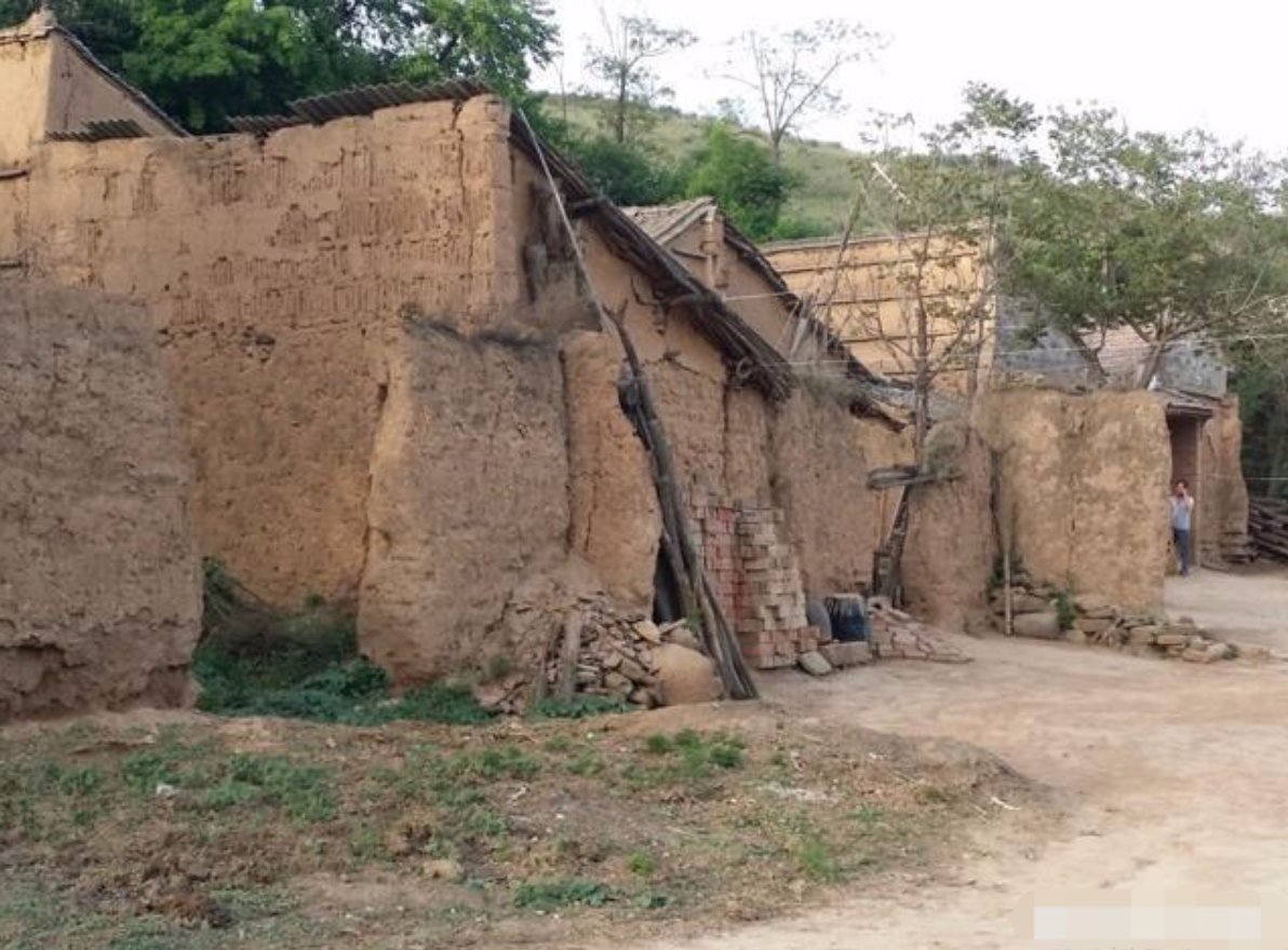 炽焱本相 tweet media