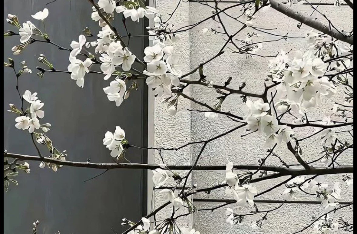 𝑹𝒉𝒂𝒆𝒏𝒚𝒔. tweet media