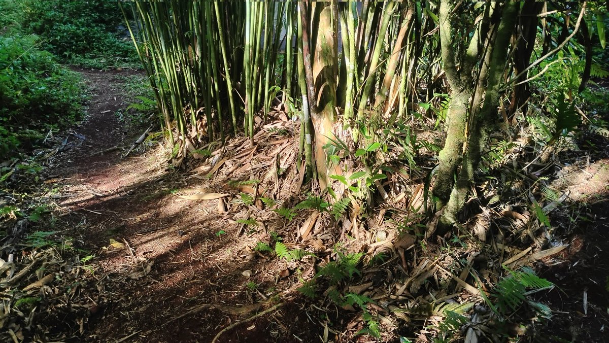 Tydyn Rain St. Clair tweet media