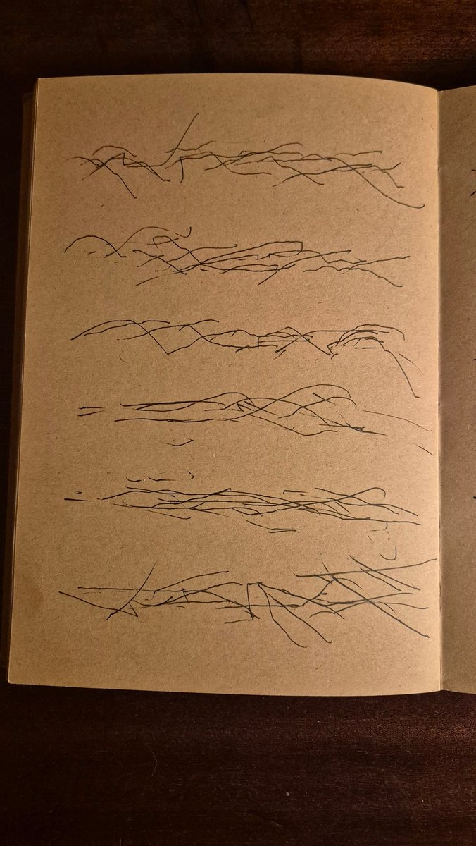 Books Landscape Magic tweet media