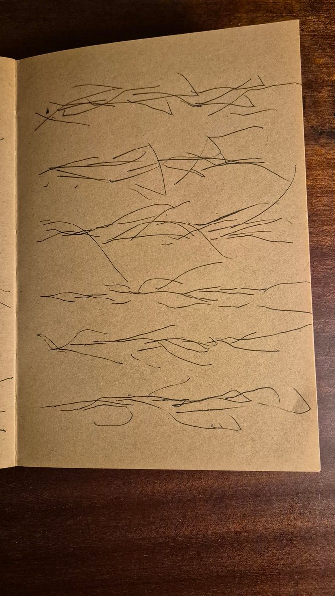 Books Landscape Magic tweet media