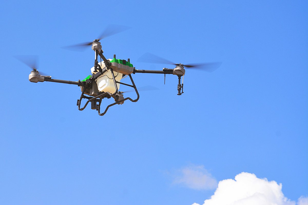 Rector UNNOBA tweet media