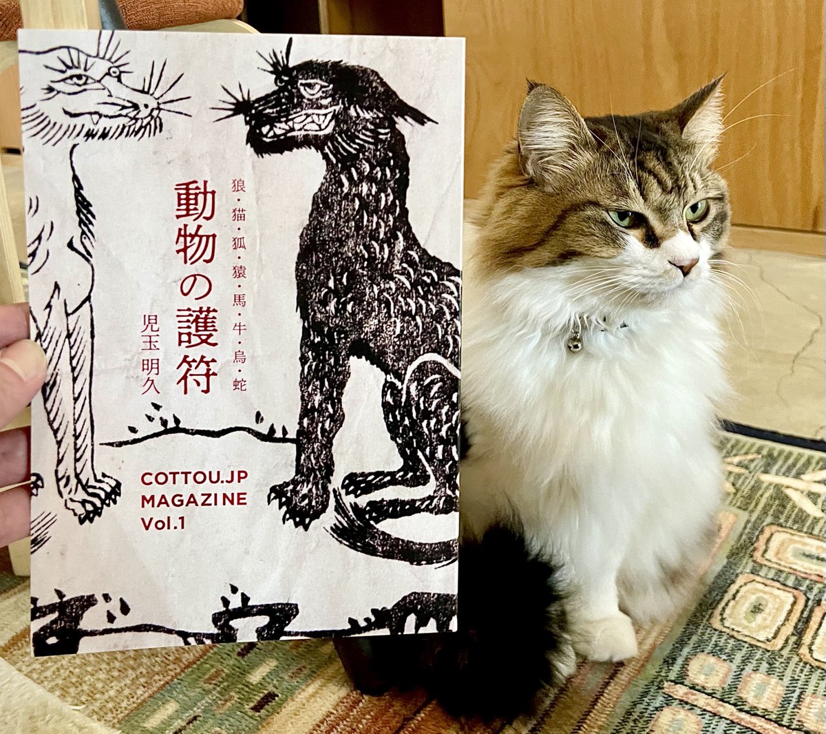 キャッツミャウブックス® tweet media