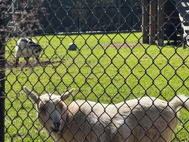 Red Cross Northern California Coastal Region tweet media
