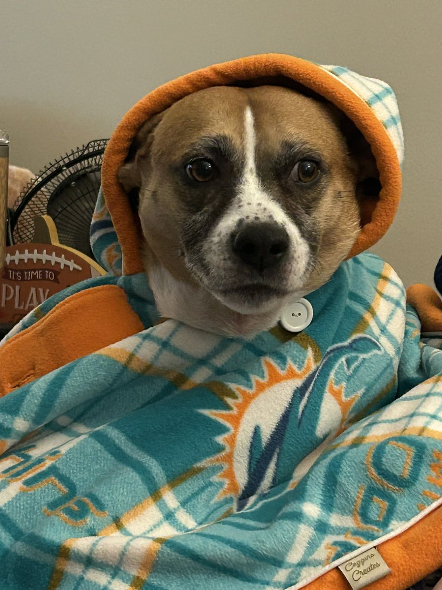 David Fischer tweet media