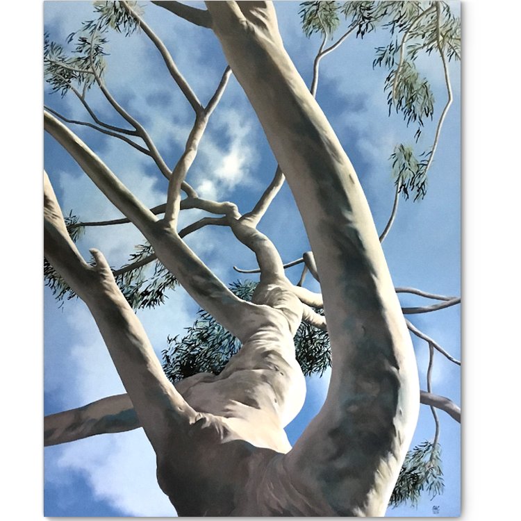 Geoff Coleman - Recent Paintings  Exhibition   SOHOStudio, 148 Edgecliff Rd, Woollahra NSW 2025,  sohostudio.space/events/recent-… - 'Angophora Costata' Acrylic on Canvas 153 x 122 cm  Soho Galleries Sydney Contact 0460009991  -Artwork purchase options. Art Visual youtu.be/8IPxrYKX3As