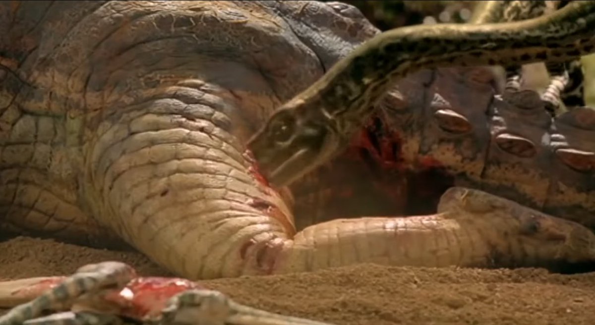 Pyroraptor42 tweet picture