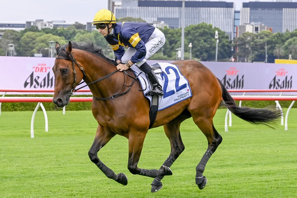 Racing NSW tweet media