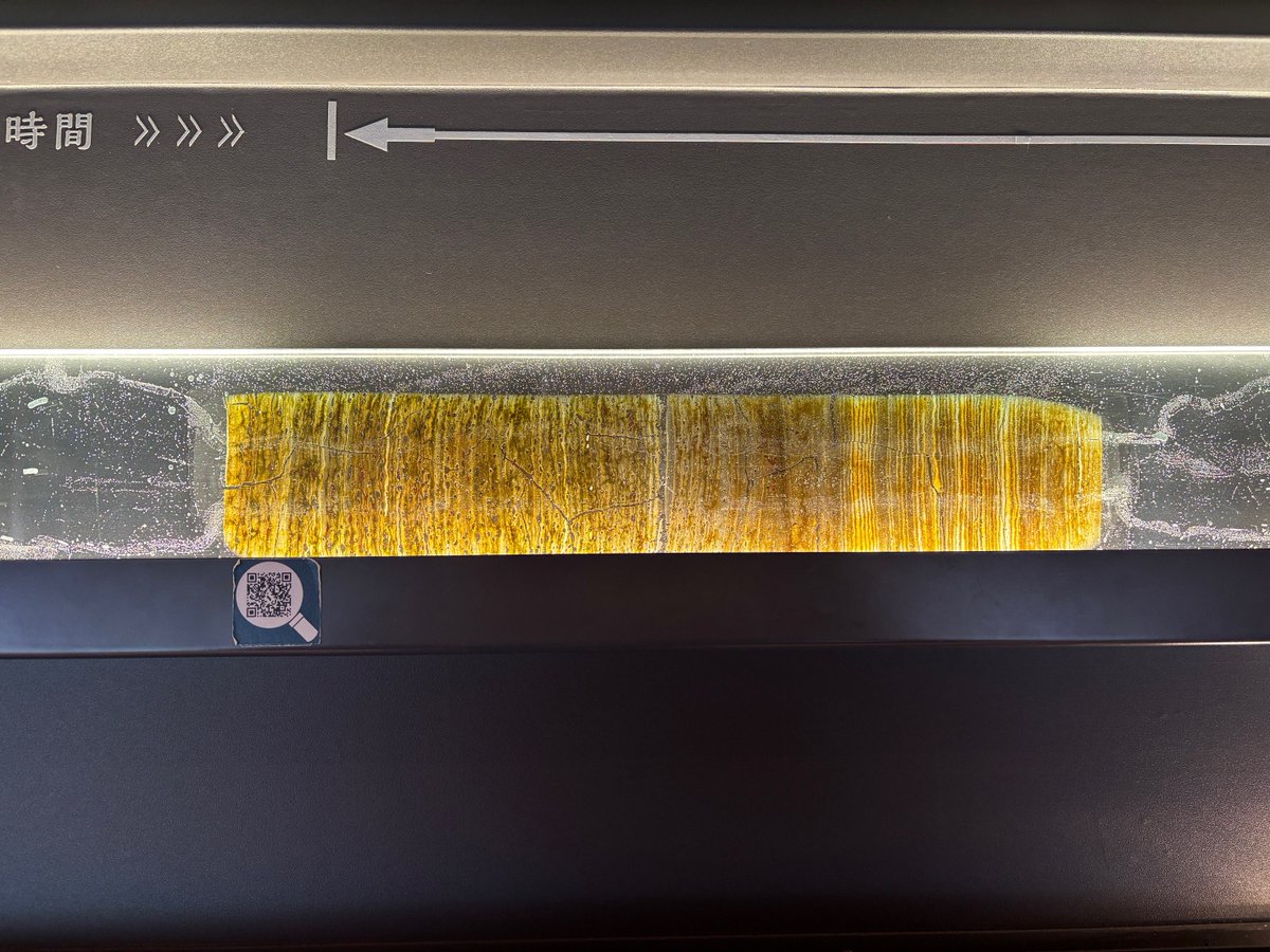 福井県年縞博物館 tweet media