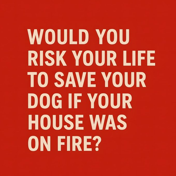 Maga Nadine tweet media