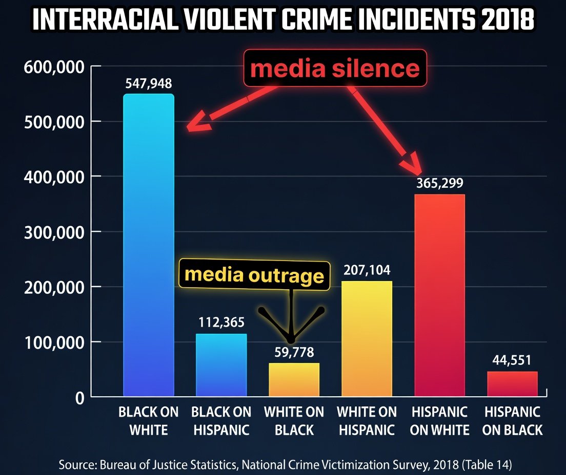 You are in a race war.

Over 913,247 White Americans are victimized by NonWhites every year!

That’s over 2,502 White people subjected to NonWhite violent crime a day!

These are VIOLENT CRIME 
INCIDENTS only, assaults, robberies, rapes, etc. from the National Crime Victimization