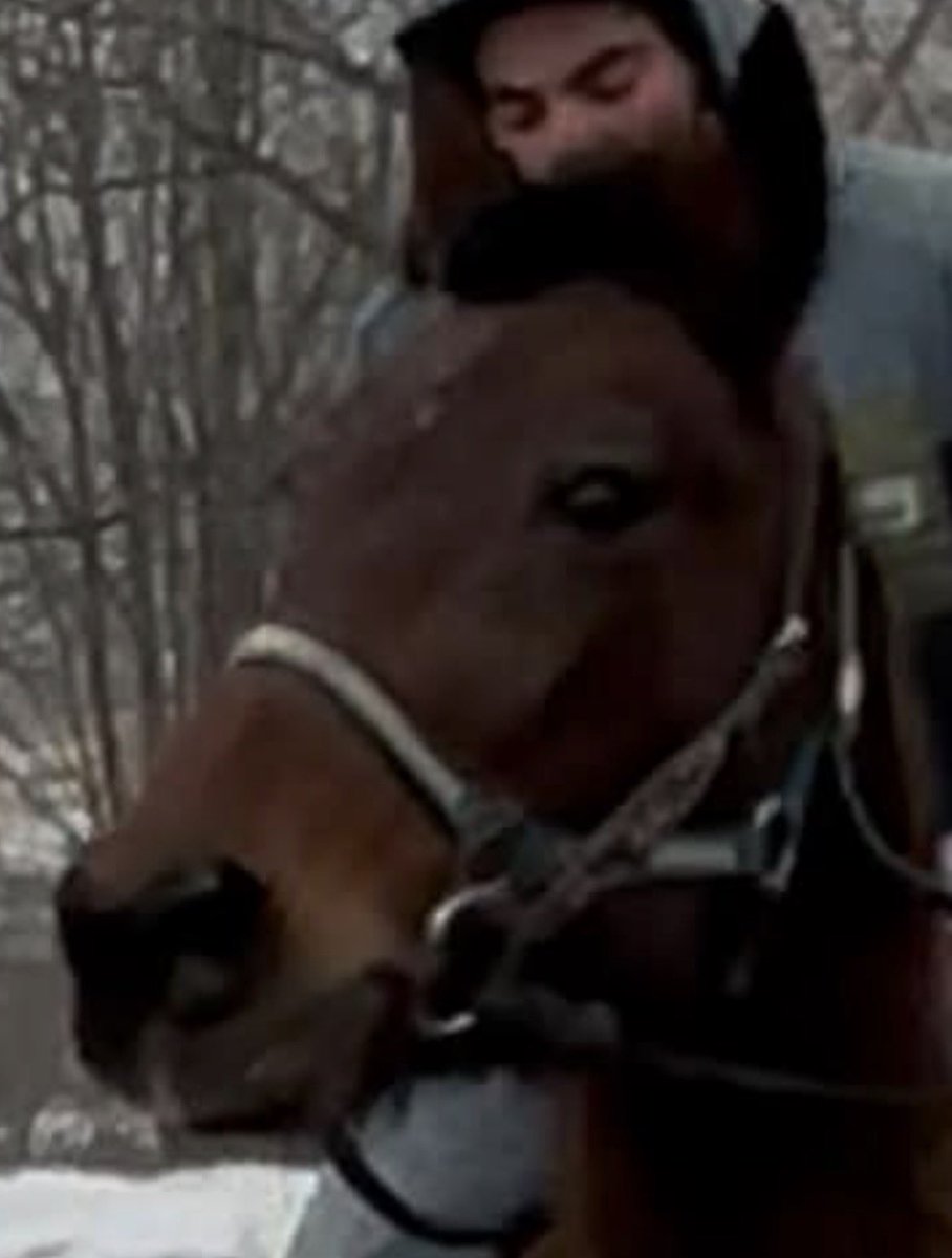 Standardbred Retirement Foundation tweet media