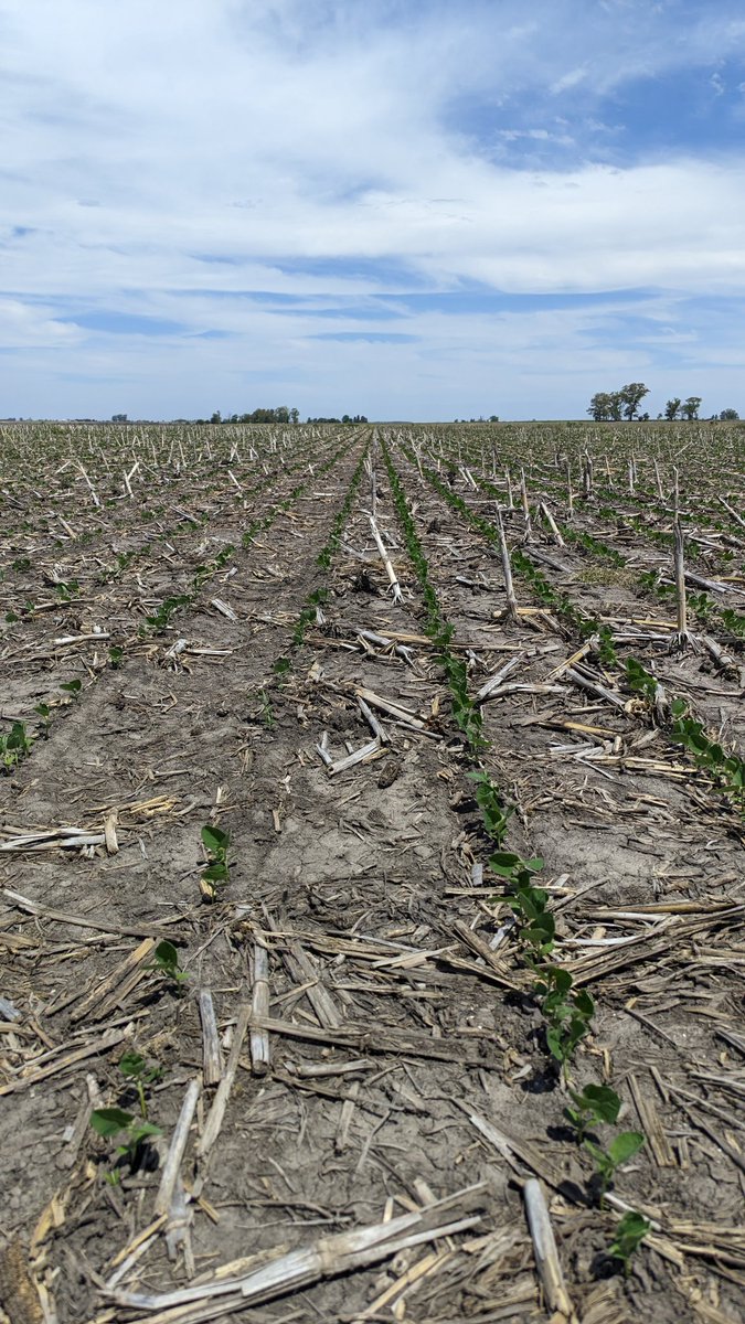 Franco Befart tweet media