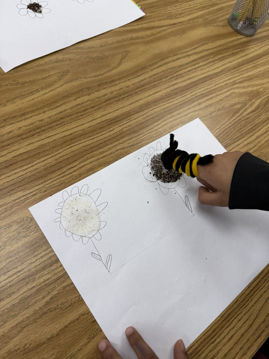 Chloe Ann tweet media