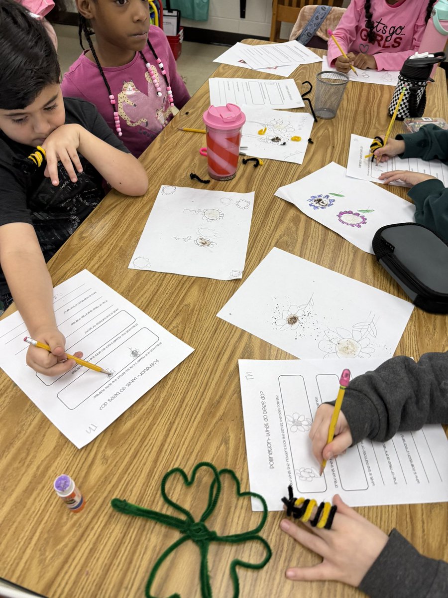 Chloe Ann tweet media