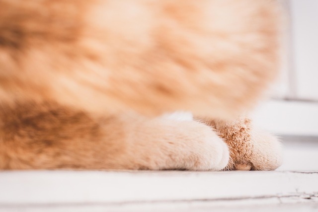 Nancy Merz tweet media