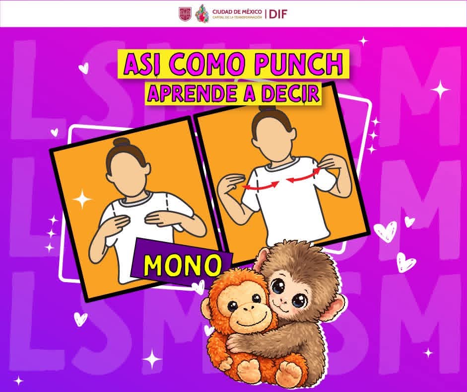 DIF Ciudad de México tweet media