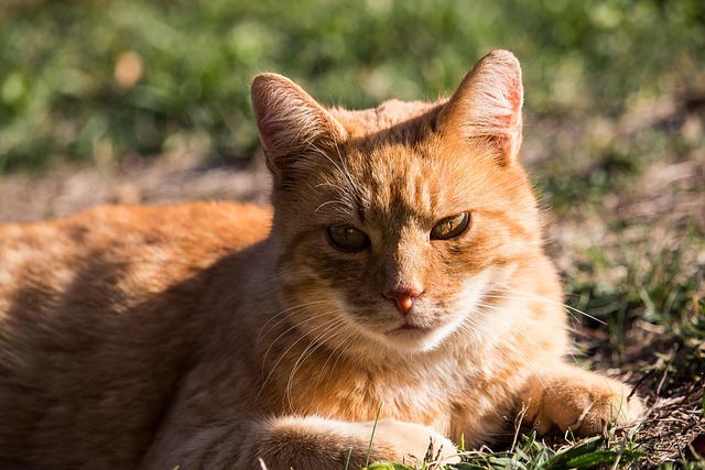 Peggy Bilbrey tweet media