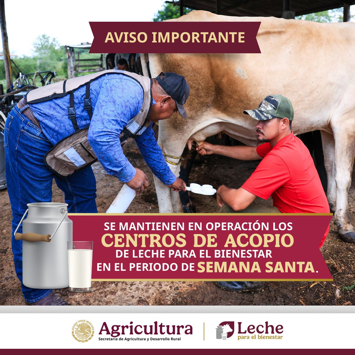 Julio Berdegué tweet media