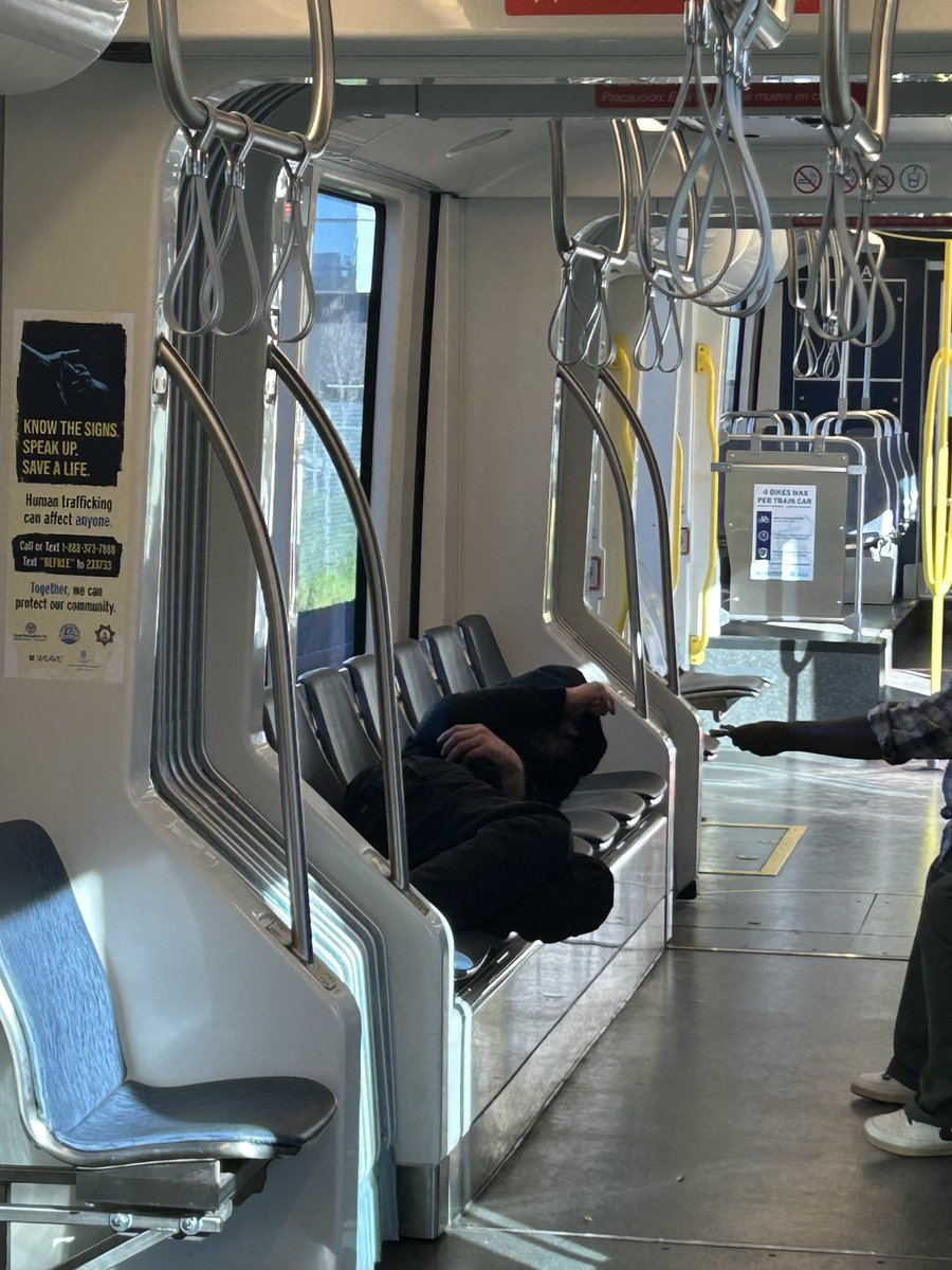 CityofTrees tweet media