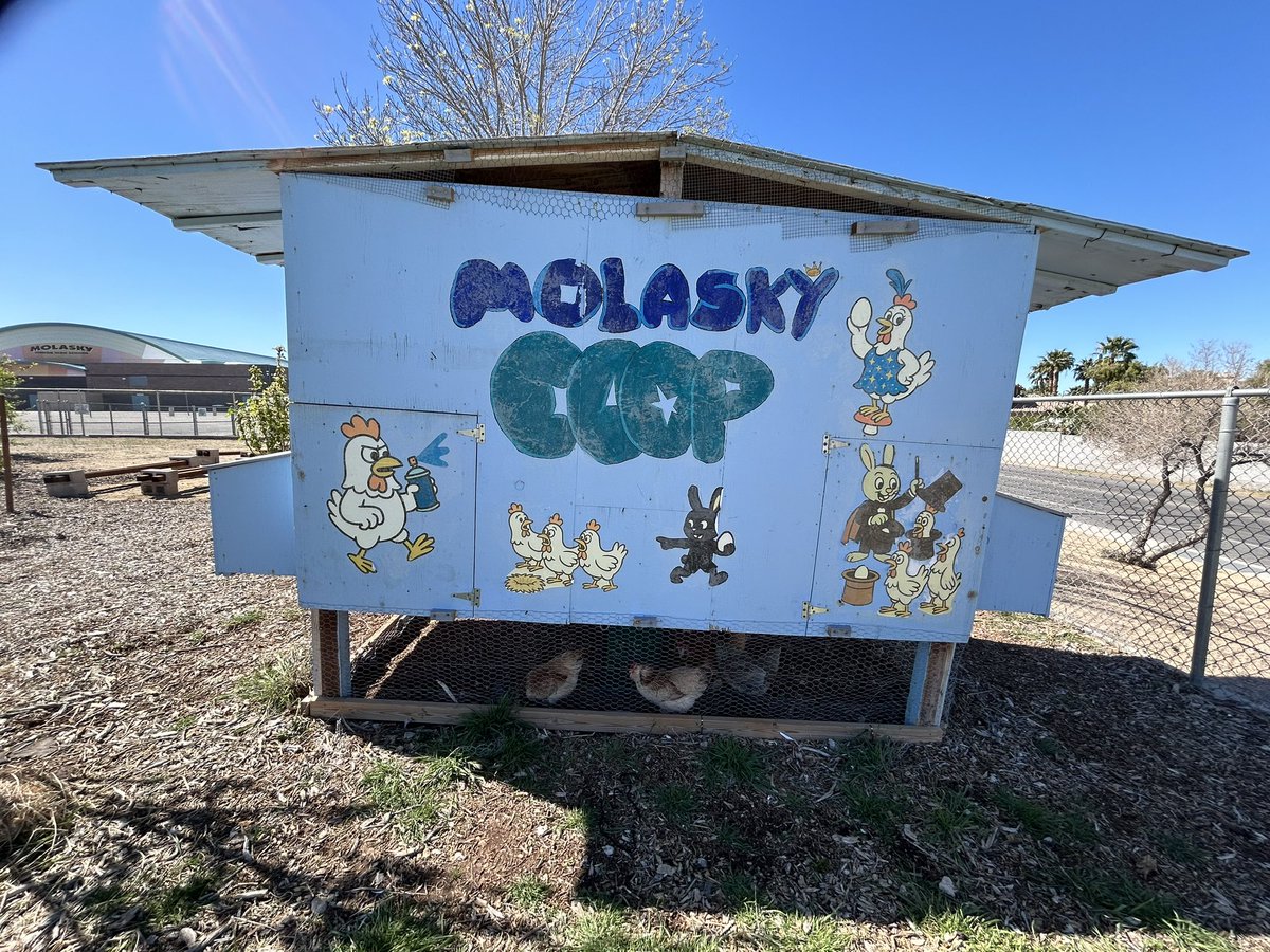 April Becker tweet media