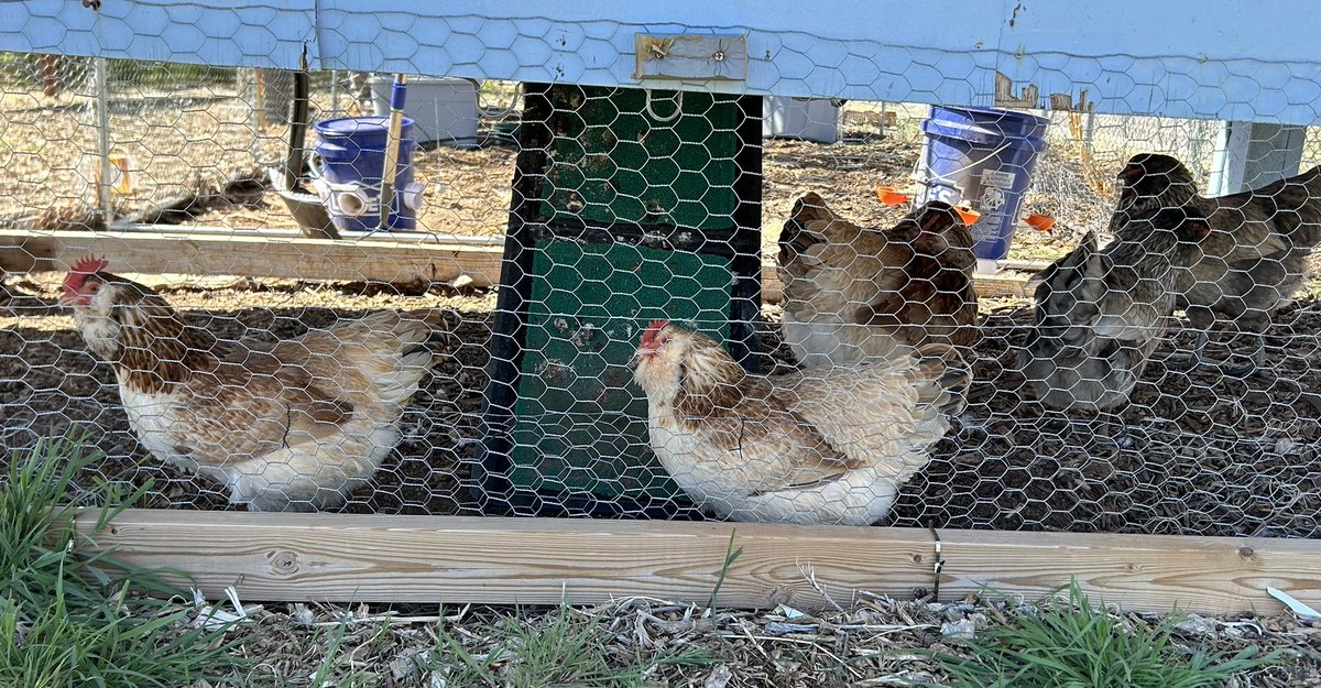 April Becker tweet media