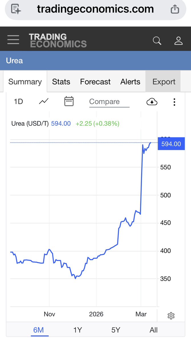 Dede Kotler tweet media
