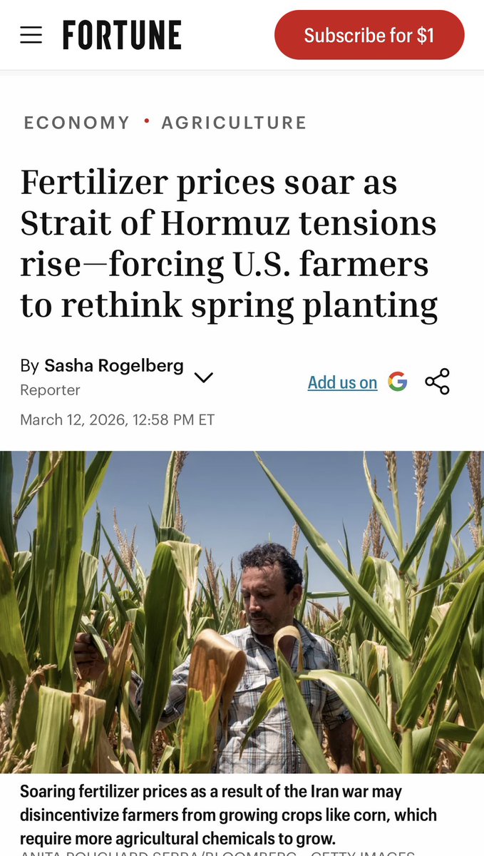 Dede Kotler tweet media