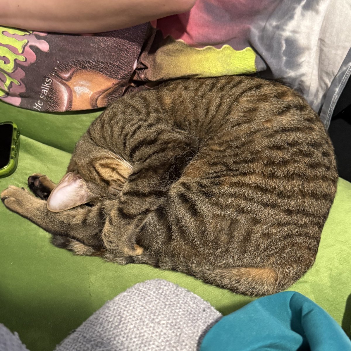 Livillon 🌱 tweet media