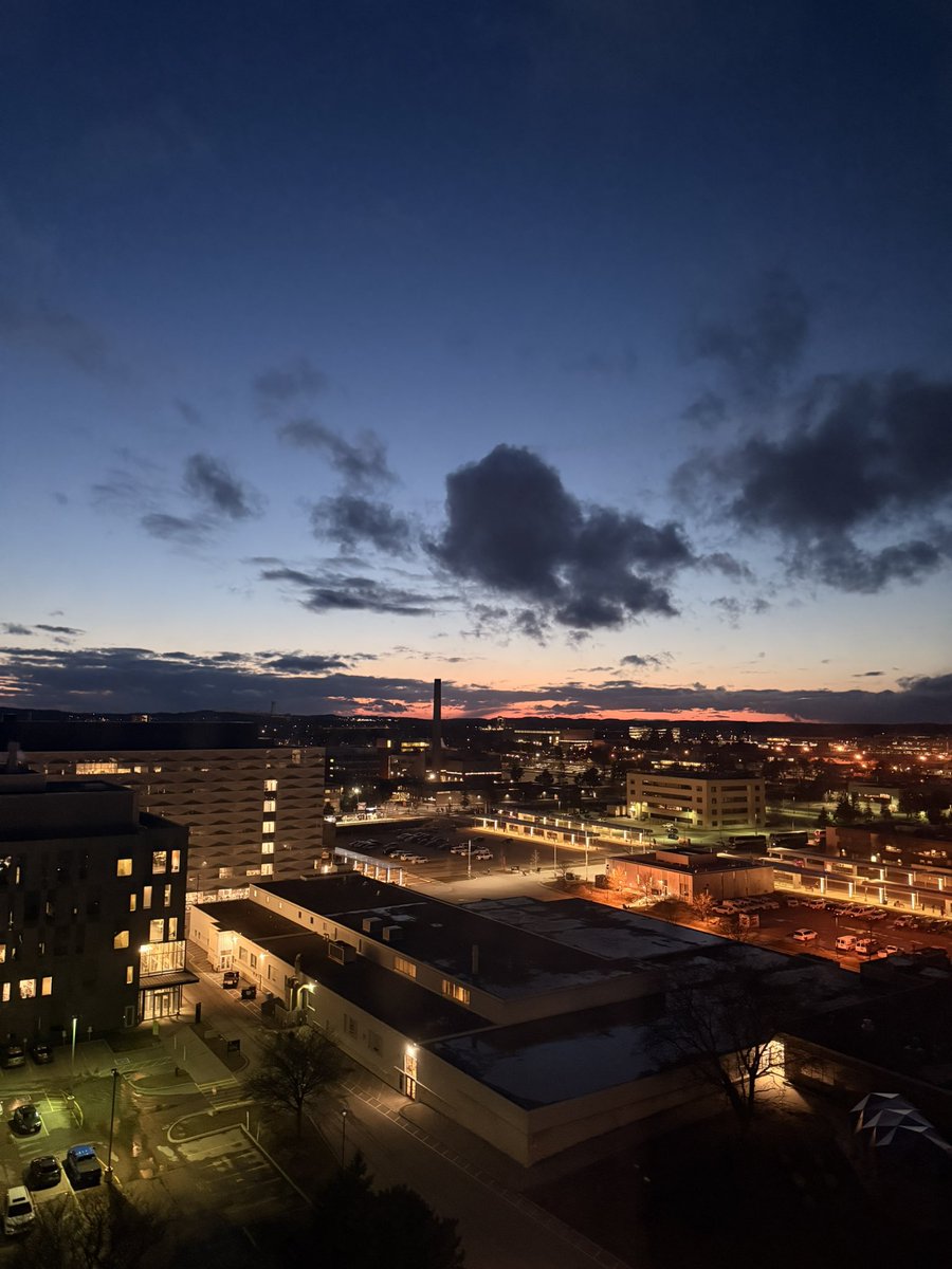 Freeman Jiang tweet media