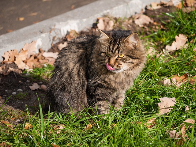 John Jackson tweet media