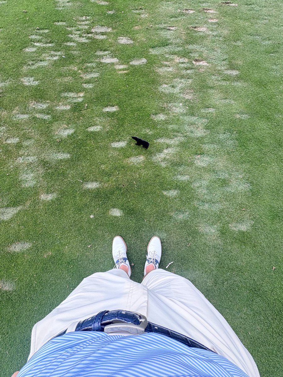 Cam “Hesi” Young tweet media