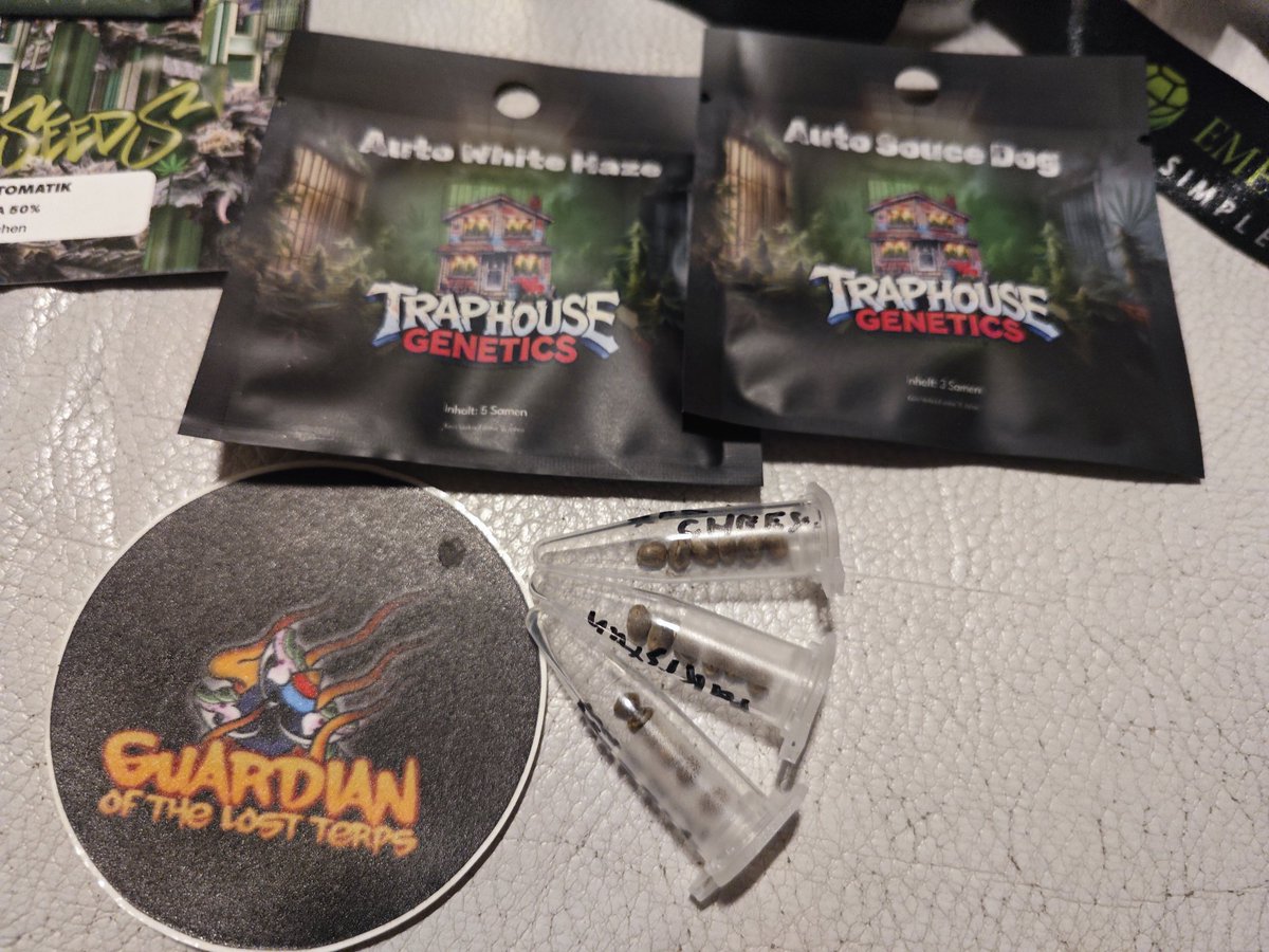 JiBBiT420 tweet media