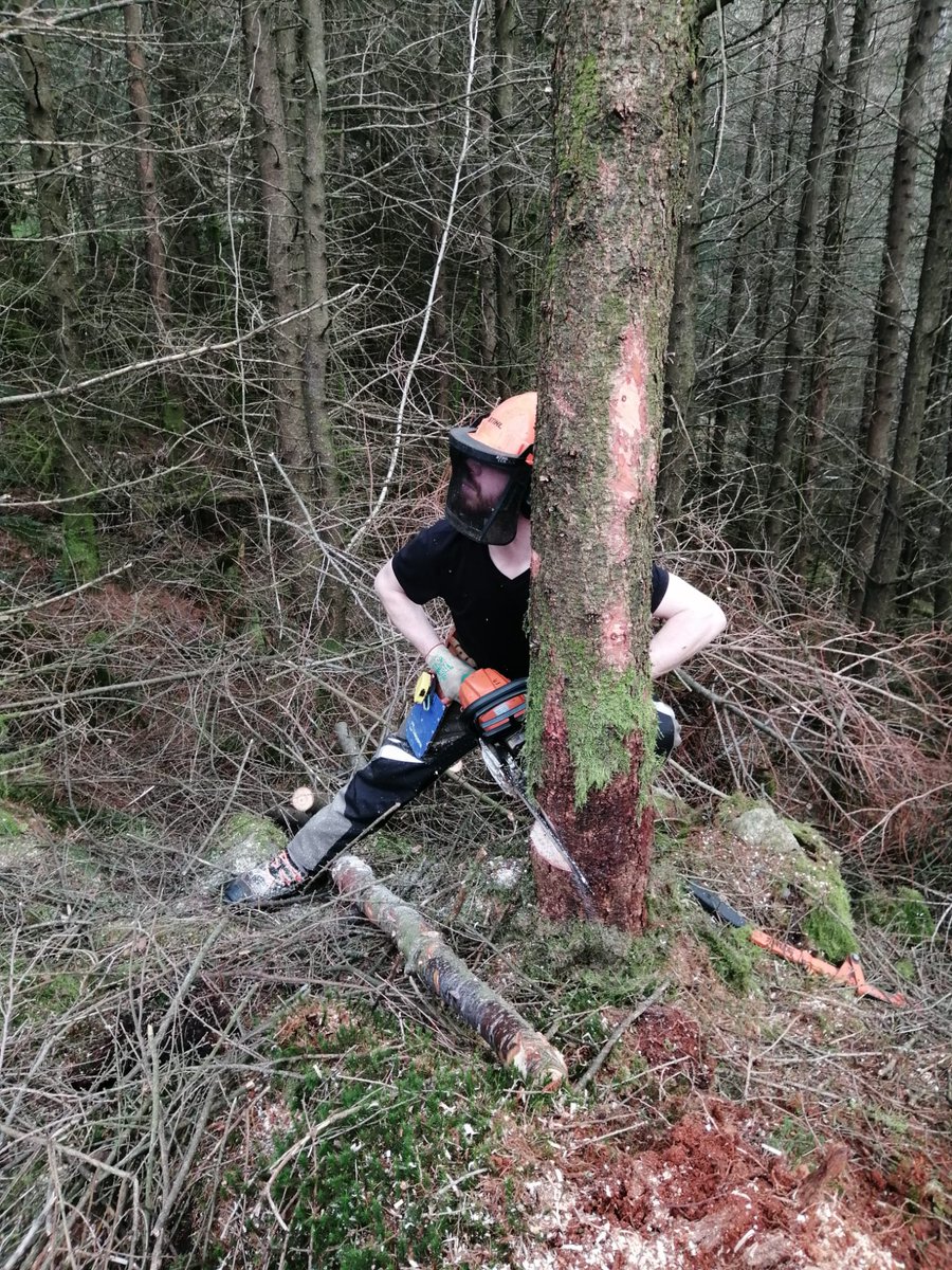 Restoring Hardknott Forest tweet media