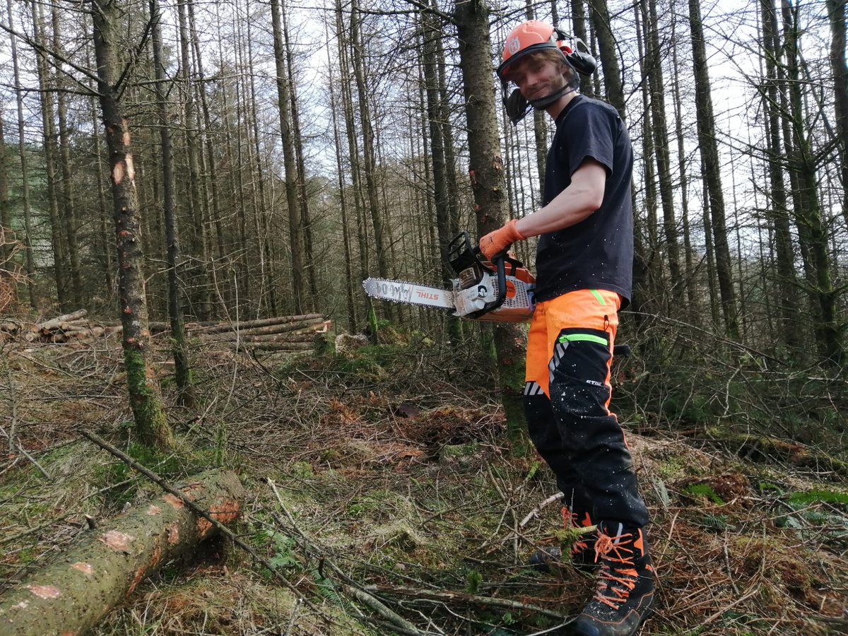 Restoring Hardknott Forest tweet media
