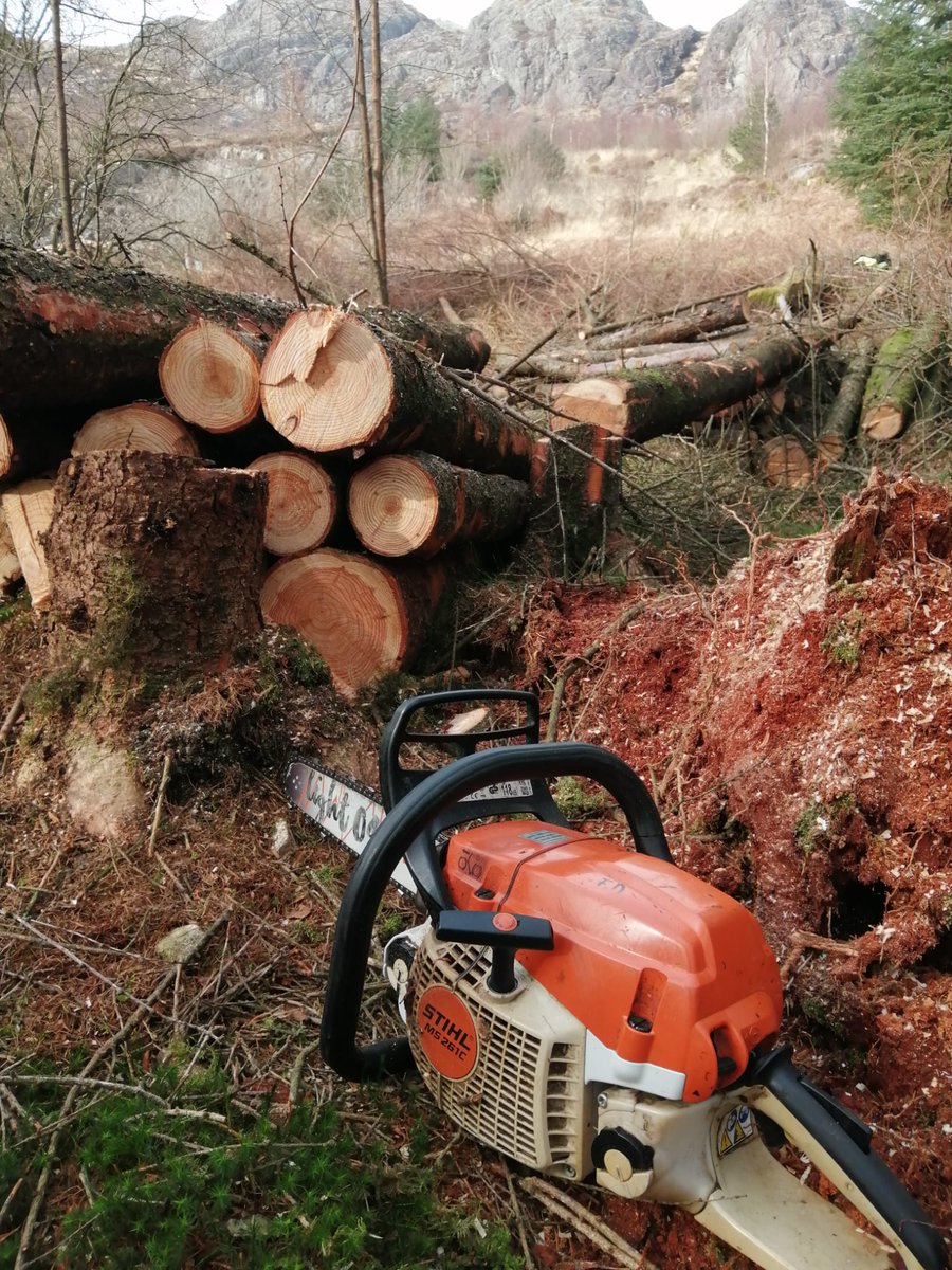 Restoring Hardknott Forest tweet media