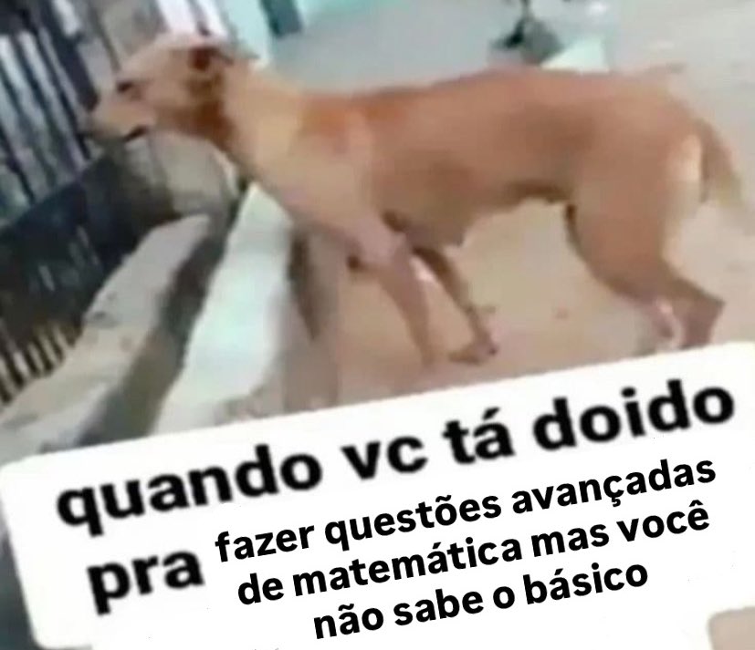 didi ꩜ tweet media