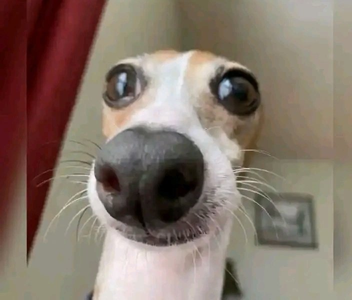 ✨IHENE 🐐✨ YAGASOZI✨🧢: tweet media