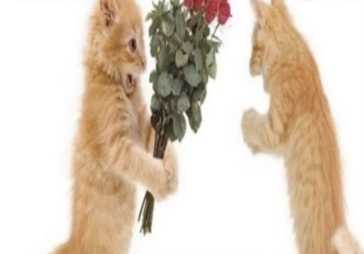 undressed tweet media