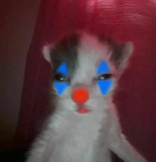 Datos Aeronáuticos ◽ tweet media