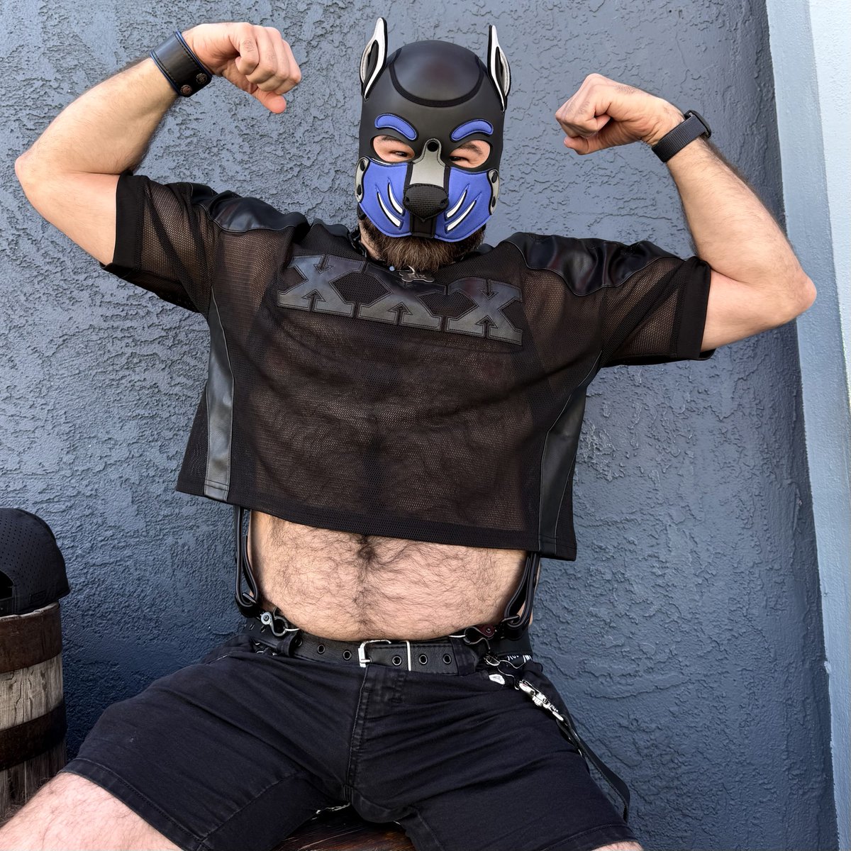 Pup_Rix ➡️ LVFC ‘26 tweet media