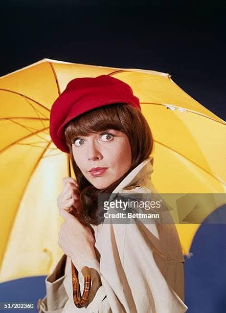barbaravitali2's tweet photo. Happy Birthday to #BarbaraFeldon March 12,1933 #GetSmart https://t.co/IU8Wbo3LVp