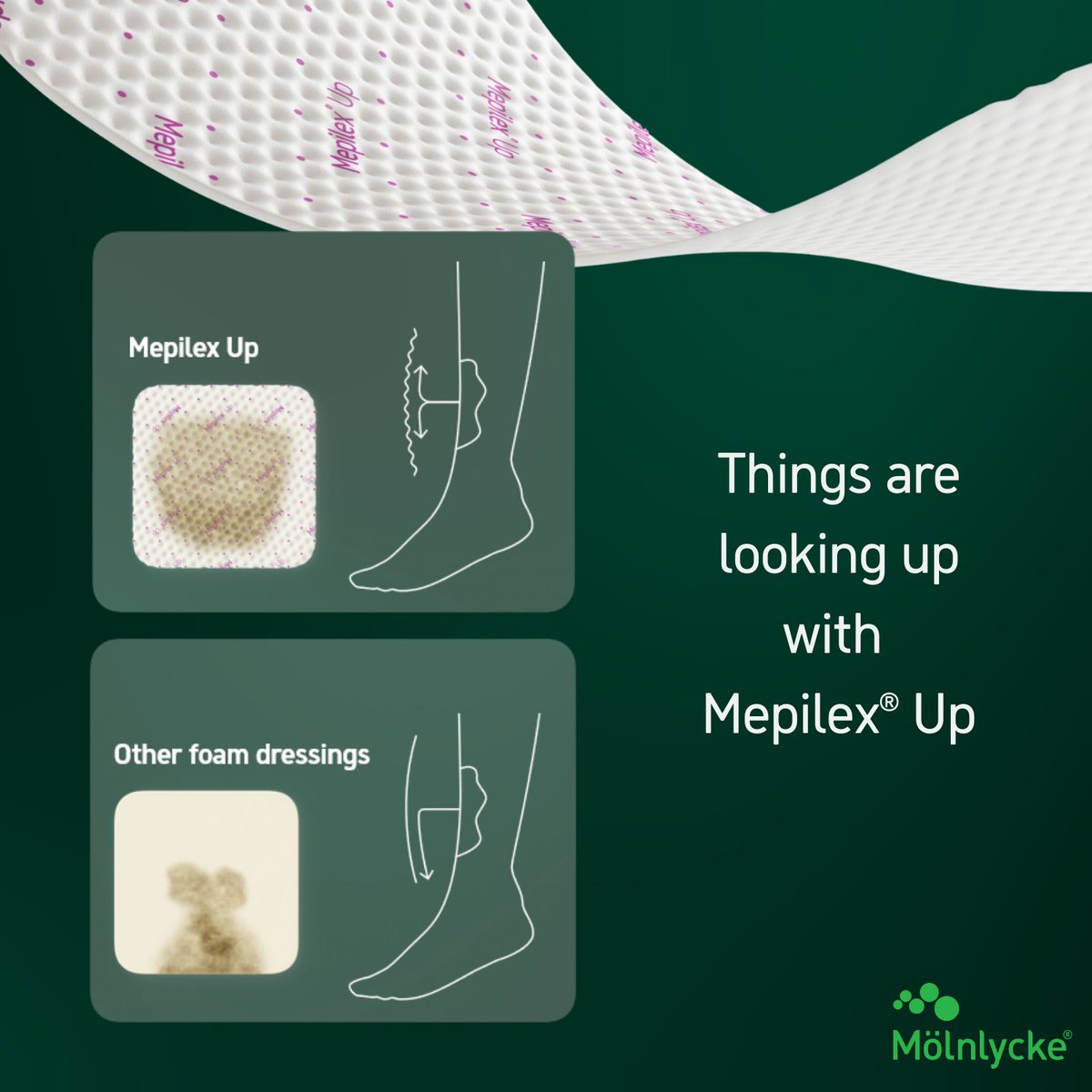 Diabetic Foot Canada tweet media