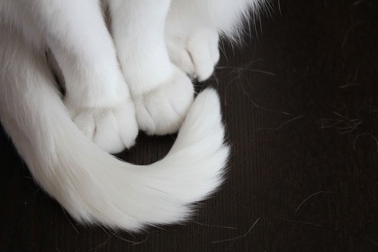 clara | HADES & LOA tweet media