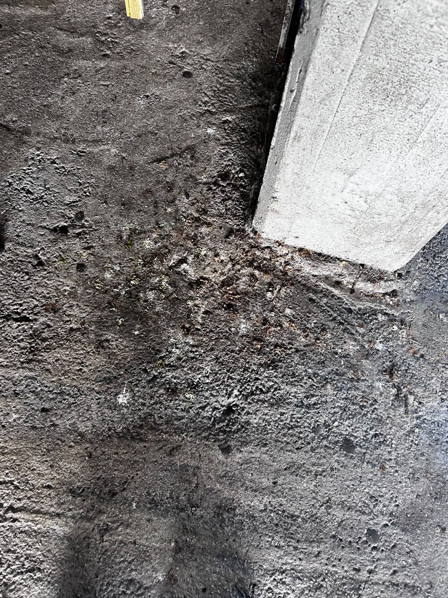 FichajesRSG's tweet photo. ¿Tan difícil es que el @RealSporting y la señora alcaldesa @CarmenMoriyon se sienten y empiecen a trabajar en la reforma de El Molinón?
Estamos hartos y asqueados de q uno de los emblemas de la ciudad de más asco que otra cosa.
¡ESPABILEN Y TRABAJEN! https://t.co/PlXQKosAg1