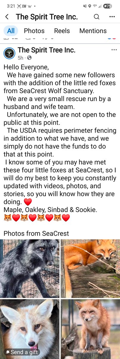 Kelly Doering tweet media