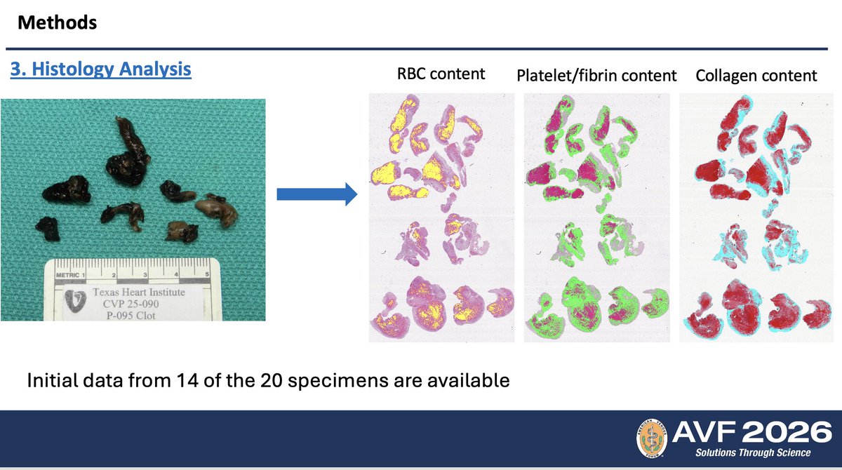 Trisha L. Roy MD PhD FACS tweet media