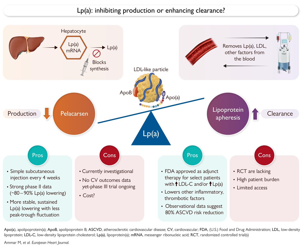 Gunnar Henrik Heine tweet media